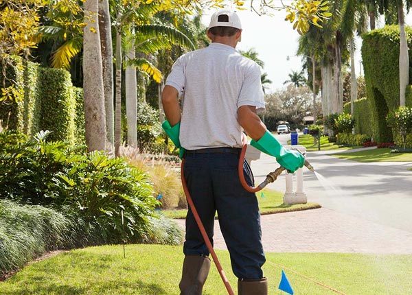 About Saint Hedwig TX Pest Control Pros